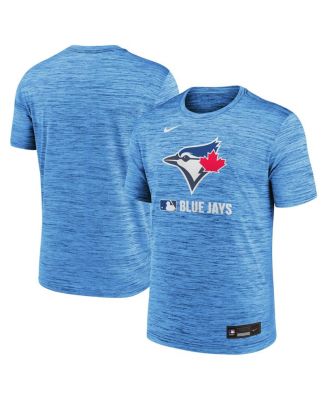 Nike - Men's&nbsp; Powder Blue Toronto Blue Jays Authentic Collection Velocity Performance Practice T-shirt