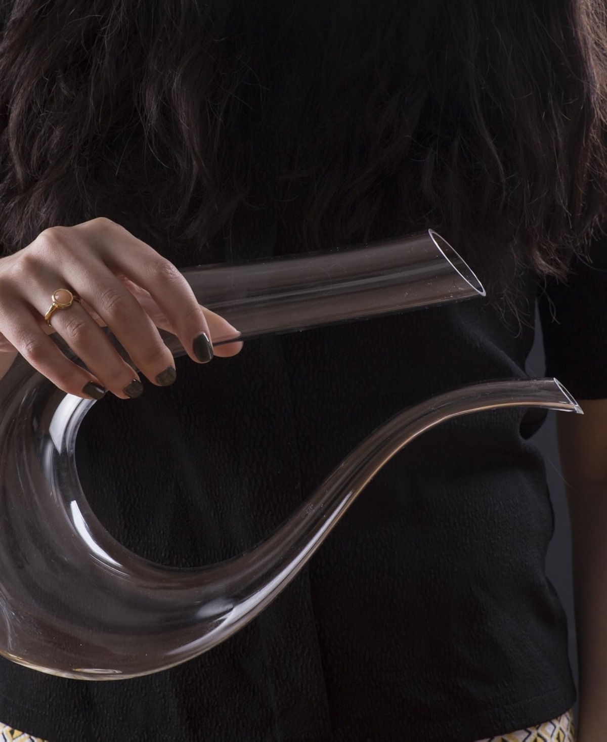 The Wine Savant Khen U-shaped Aerator Decanter In Clear