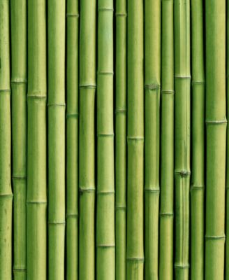 Volume Conditioner, 33.8 oz.