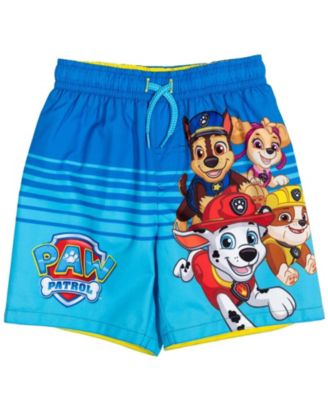 Toddler Boys Pullover Rash Guard and Swim Trunks