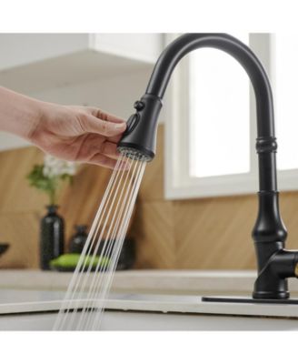 Single-Handle Pull-Down Sprayer and 3 Spray Modes High Arc Kitchen Faucet