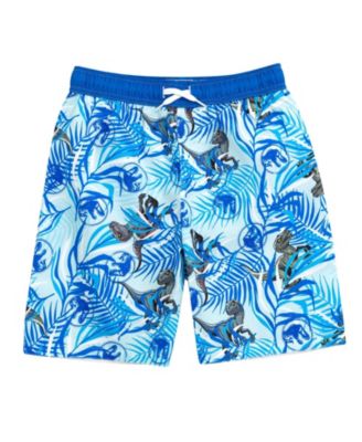 Boys Jurassic World Dinosaur Rash Guard and Swim Trunks Outfit Set to
