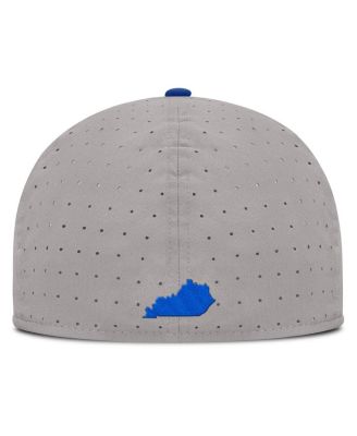 Men's Gray Kentucky Wildcats On-Field Dugout True Performance Fitted Hat
