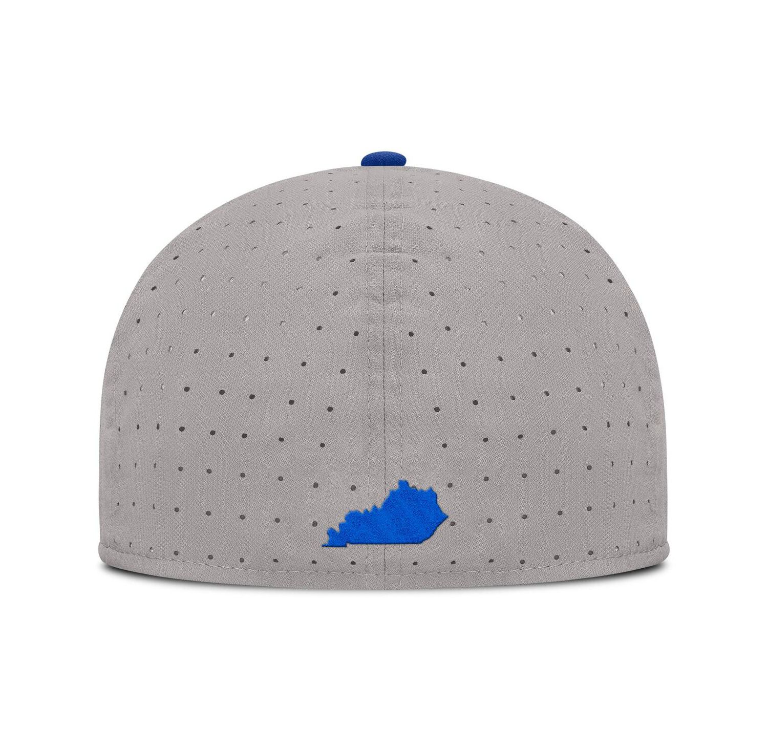 Men's Gray Kentucky Wildcats On-Field Dugout True Performance Fitted Hat