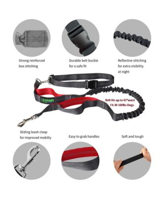 Hands Free Bungee Dog Leash - Red