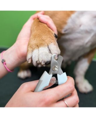 Blue Eco-Friendly Pet Nail Clipper, Sustainable Grooming Tool for Dogs and Cats