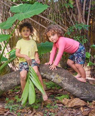 Toddler Boys Rash Guard Top & Swim Shorts, 2 Piece Set