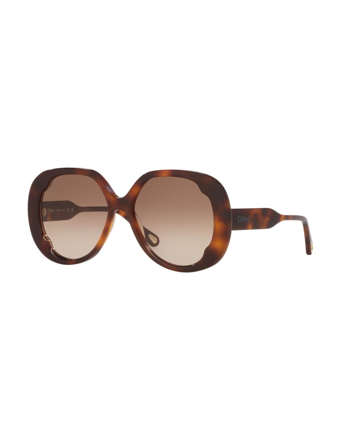 Chloé Oversized Round Sunglasses In Tortoise