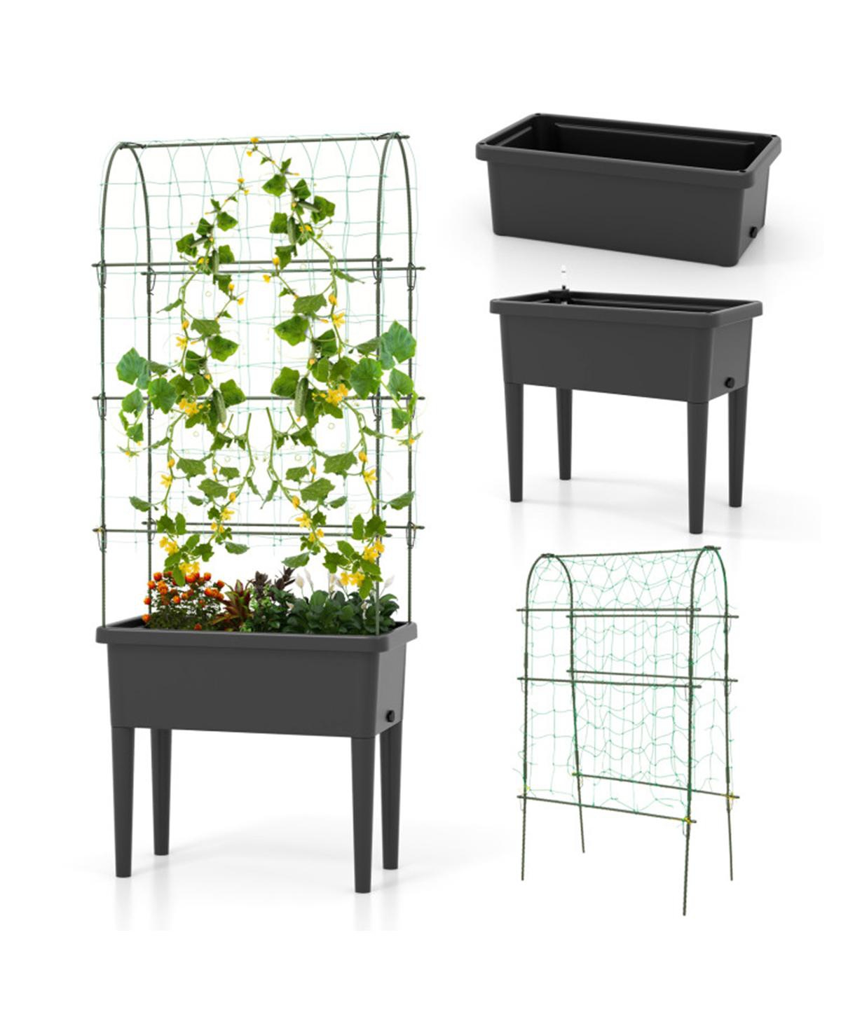 Elevated Garden Bed Flowerpot Sturdy Wooden Planter for Easy Planting and Growth - Black, Green