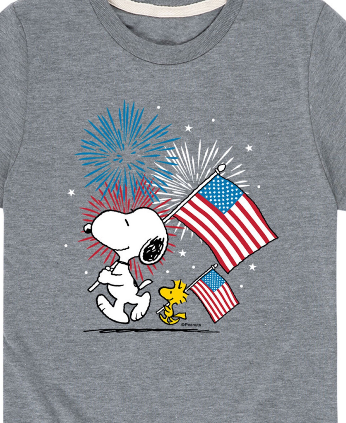 Hybrid Big Boys Peanuts Americana Fireworks Graphic T-shirt In Gray
