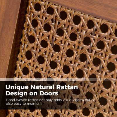 Modern Mrgadava 2 Door Accent Cabinet