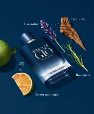 Giorgio Men's Acqua di Giò Profondo Eau de Parfum Refill, 5 oz.