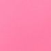 Plumeria Pink