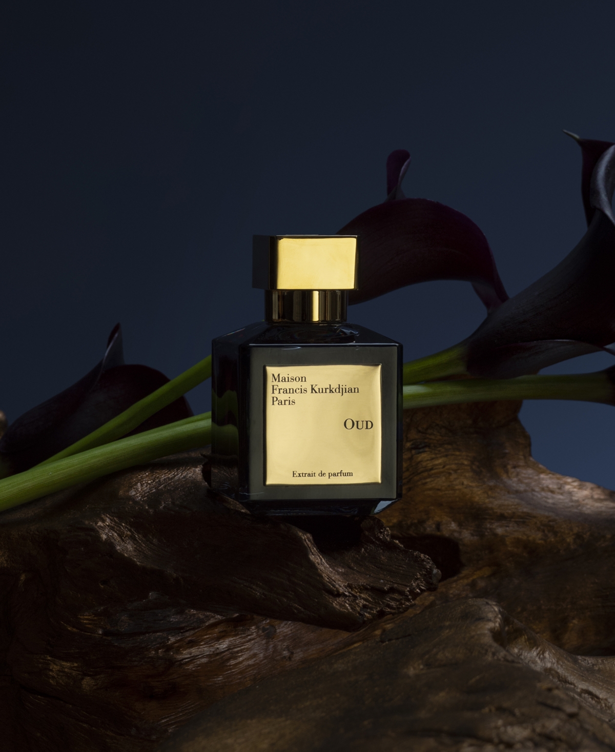 Maison Francis Kurkdjian Oud Extrait De Parfum Spray, 2.4 Oz.