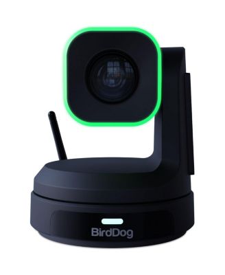 BirdDog