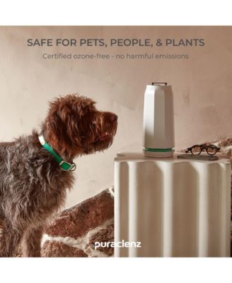 Photon P3000X Air Purifier for Home, Air & Surface Purification, Up to 3000 sqft, Removes 99% Pollutants, Mold, Odors, Viruses, & More, Ozone-Free