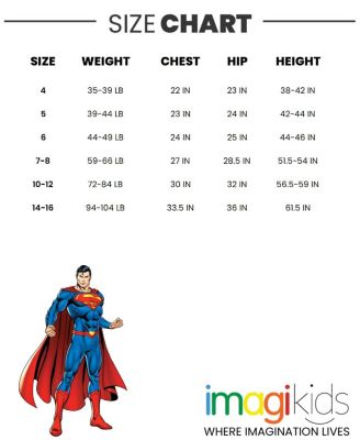 Toddler Girls DC Comics Batgirl Super Wonder Woman 3 Pack T-Shirts to