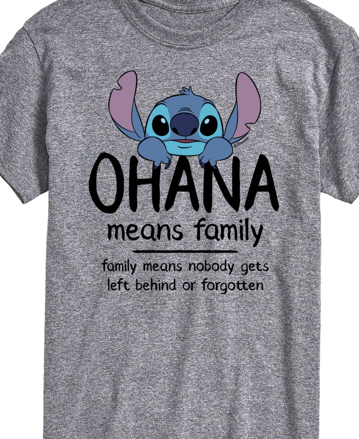 Мужская футболка AIRWAVES Lilo Stitch Ohana Means Family Short Sleeve, цвет: Серый — фото 2
