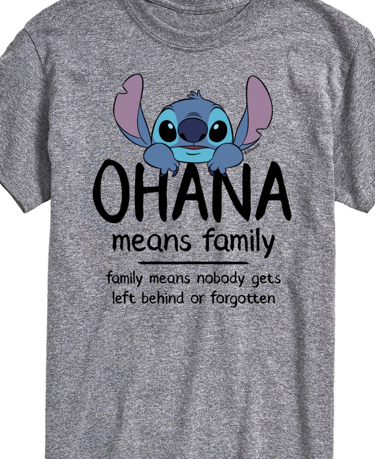 Airwaves Men's Lilo Stitch Ohana Means Family Short Sleeve T-shirt In Gray