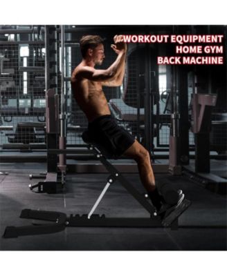 Roman Chair Back Extension, Dual Adjustable Back Extension Bench for Home Gym, Adjustable Back Exercise Machine Weight Capacity 330 Lbs, for Core Workout/Lower Back Pain Relief