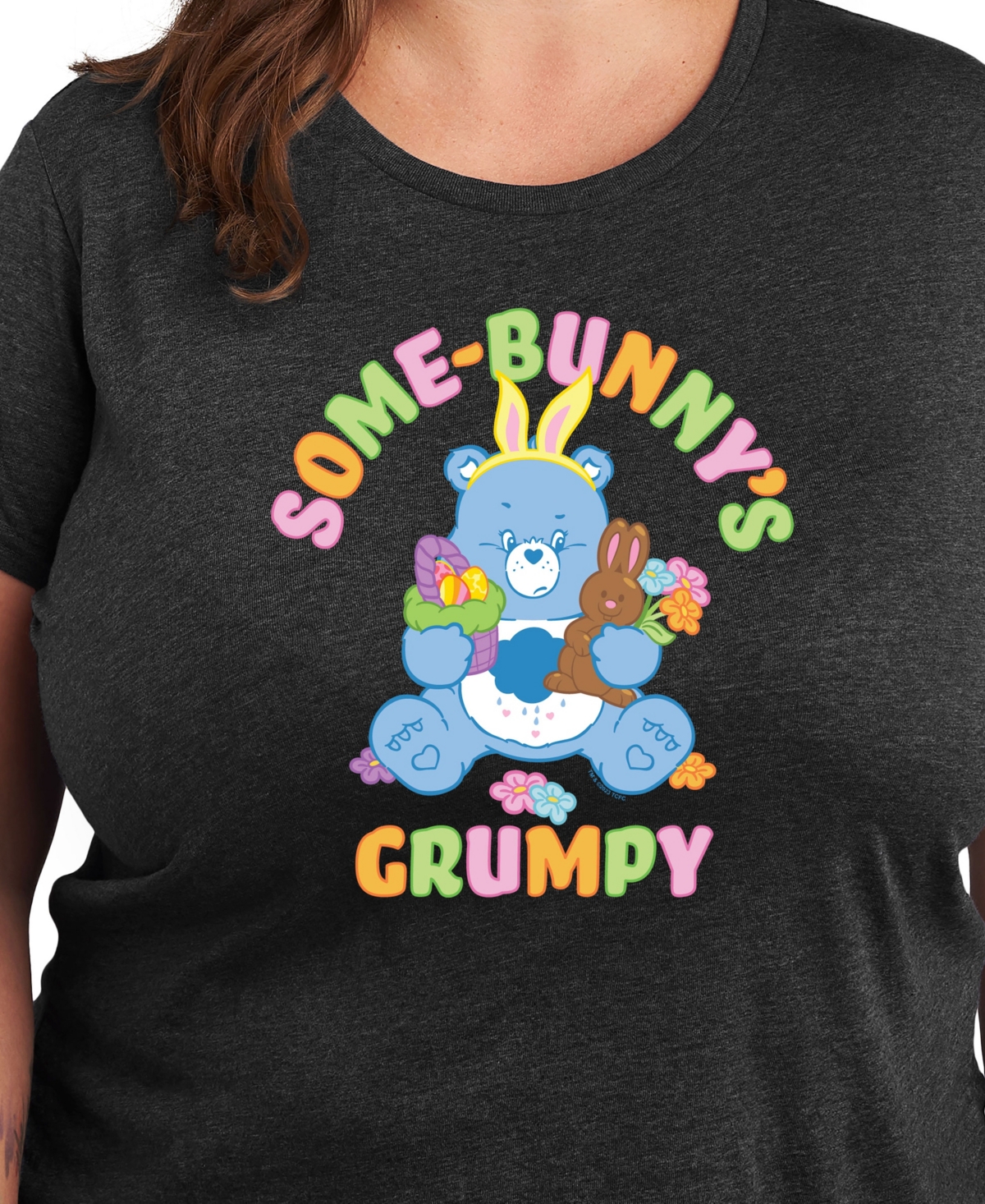 Hybrid Apparel Plus Size Care Bears Easter Some-bunny's Grumpy Graphic Crew Neck T-shirt In Gray