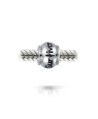 Set of 2 Ribbon Survivor Message Dangle Charm Bead Sterling Silver for European Bracelet