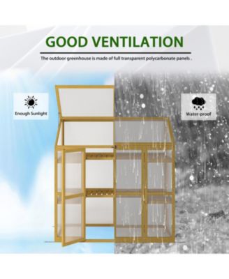 Wooden Garden Greenhouse: Polycarbonate Shed for Plant Protection