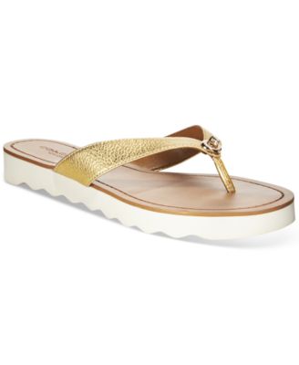 macy's coach flip flops