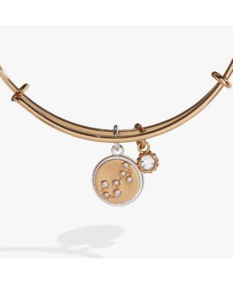 Zodiac Bangle Bracelet Scorpio