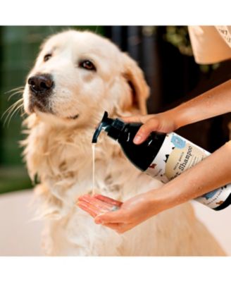 Precious Tails Aloe & Vitamin E Extra Gentle Pet Shampoo 32 fl oz, Dye Free