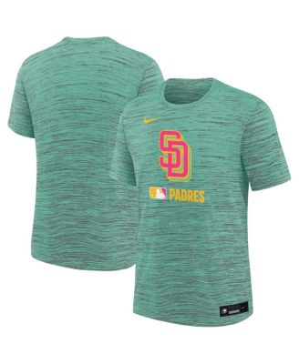 Nike - Big Boys and Girls&nbsp;Mint San Diego Padres Authentic Collection City Connect Velocity Performance T-Shirt