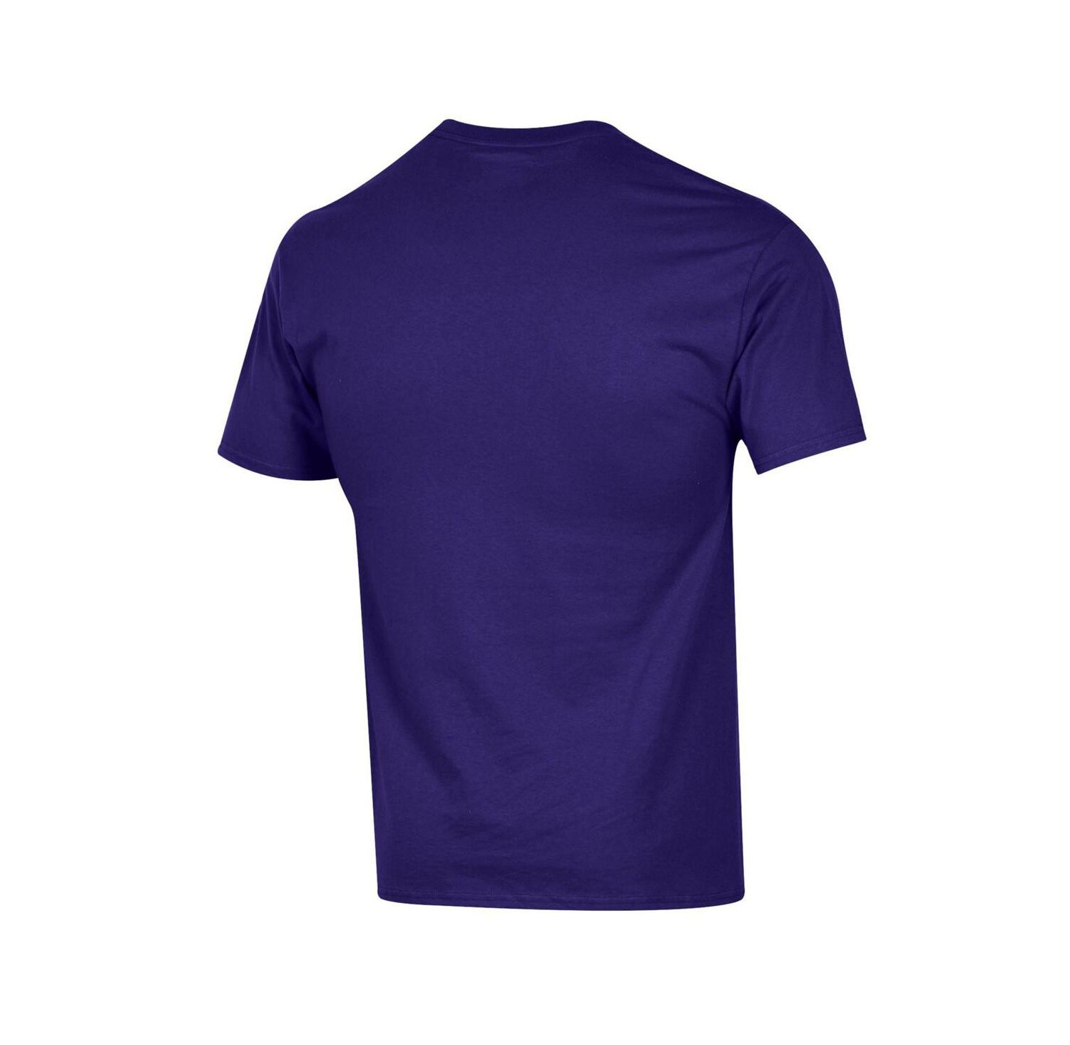 Men's Purple Northwestern Wildcats Arch Over Logo T-Shirt