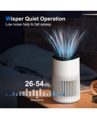HEPA Air Purifier for Bedroom Home, With Essential Oil Diffuser, Sleep Mode, Up to 225 Sqft 2 Pack