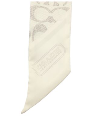 Textured Signature Print Silk Skinny Scarf