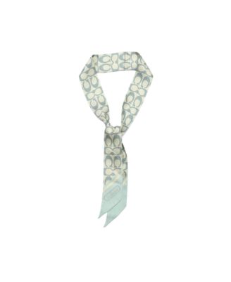 Textured Signature Print Silk Skinny Scarf