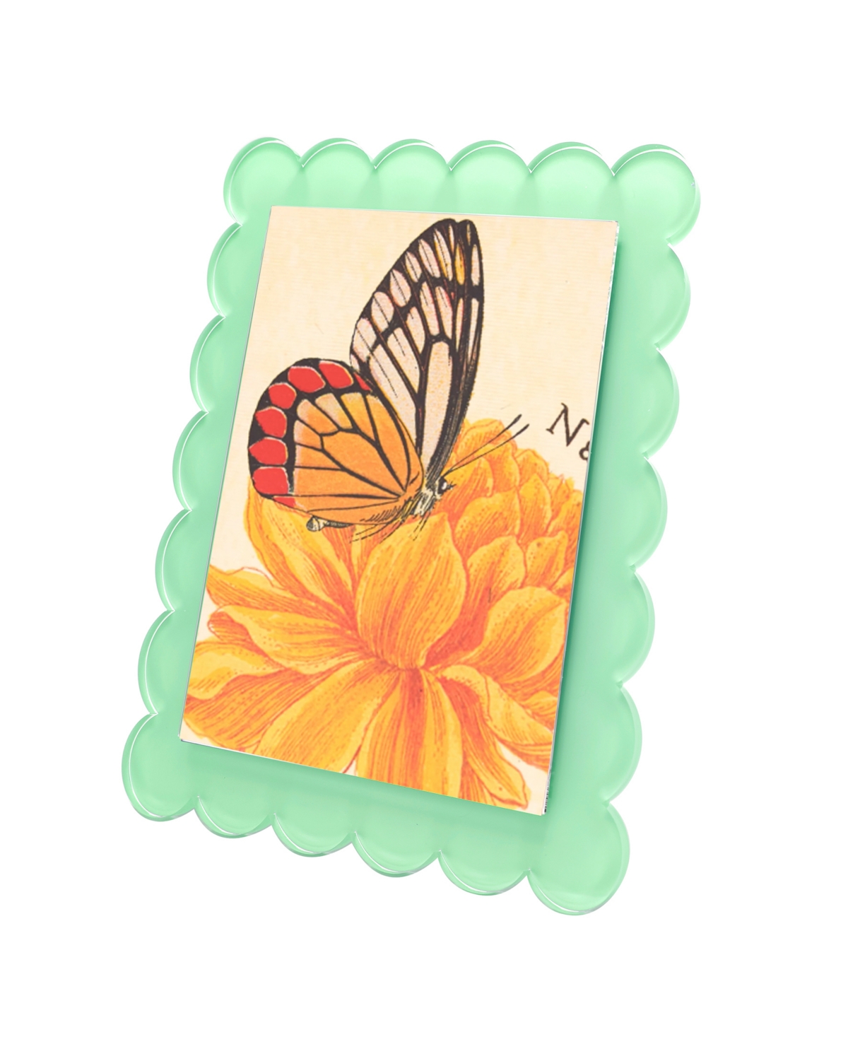 TARA WILSON DESIGNS SCALLOP FRAME, 8" X 10" 