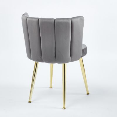 Streamdale Modern Velvet Dining Chair (Set of 2) with Golden Legs