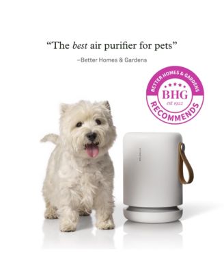 Air Mini + with PECO-HEPA Tri-Power Filter