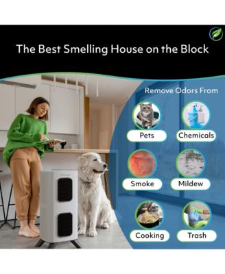 iAdaptAir 2.0 Medium – 2,650 Sq Ft Coverage, 5-in-1 Purification, With 353 CFM