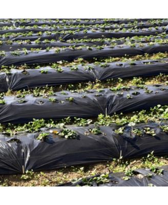 4 x 250 Feet Weed Barrier Landscape Fabric