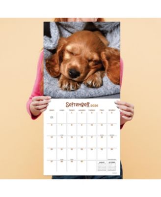 2026 Dog Dreams Wall Calendar