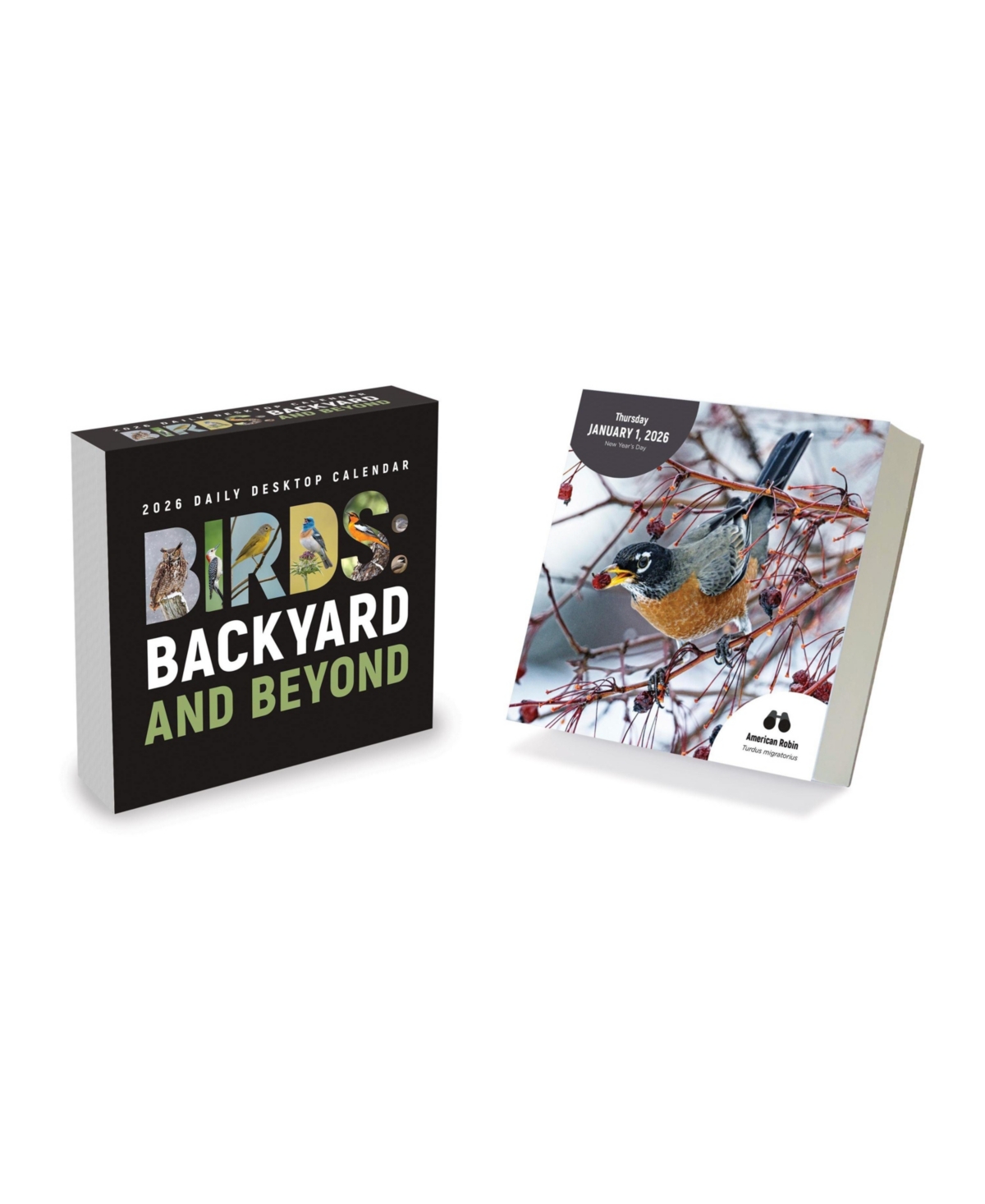 2026 Birds: Backyard & Beyond Daily Desktop Calendar - Multicolor