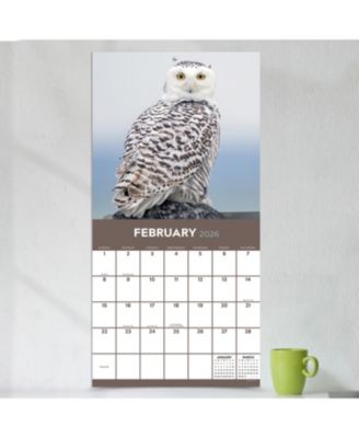 2026 Owls Wall Calendar