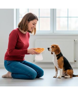 Mushroom Shaped Stoneware Elevated Pet Bowl, Raised Ceramic Food & Water Dish for Dogs and Cats
