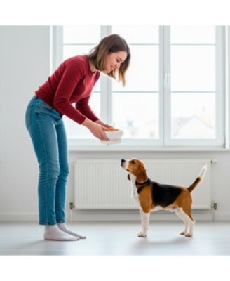 Abstract Bubble Shaped Stoneware Elevated Pet Bowl, Raised Ceramic Food & Water Dish for Dogs and Cats