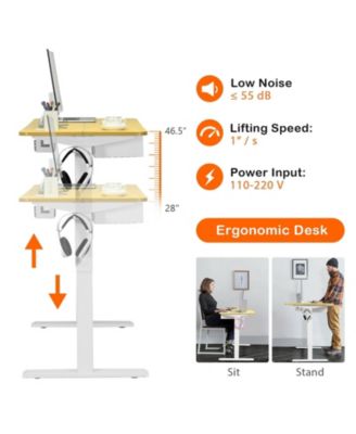 48-Inch Electric Standing Adjustable Desk with Control Panel and USB Port