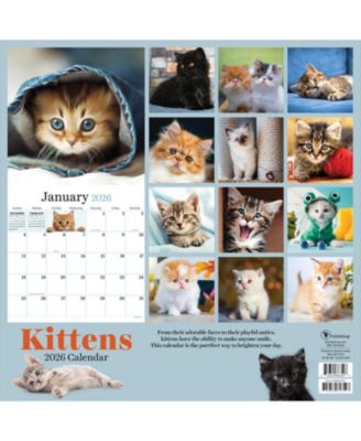 2026 Kittens Wall Calendar
