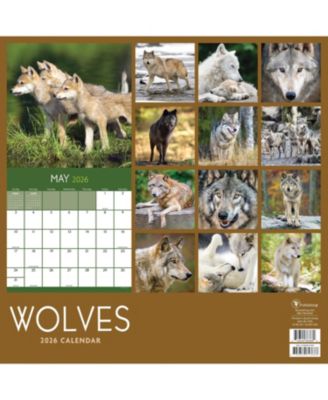 2026 Wolves Wall Calendar