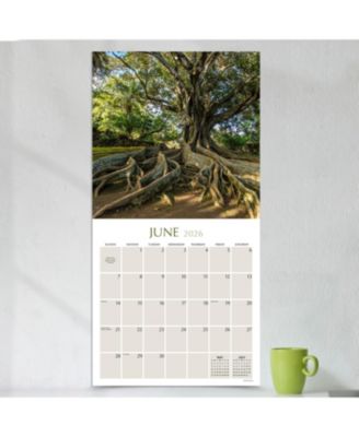 2026 Trees Wall Calendar