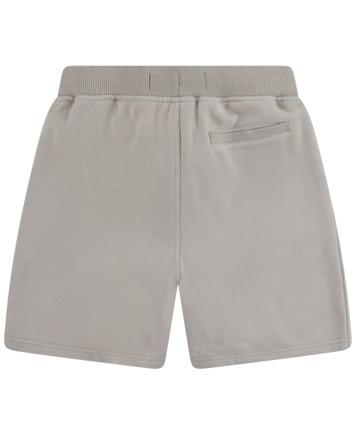Levi's Big Boys Lived In Shorts In Gray